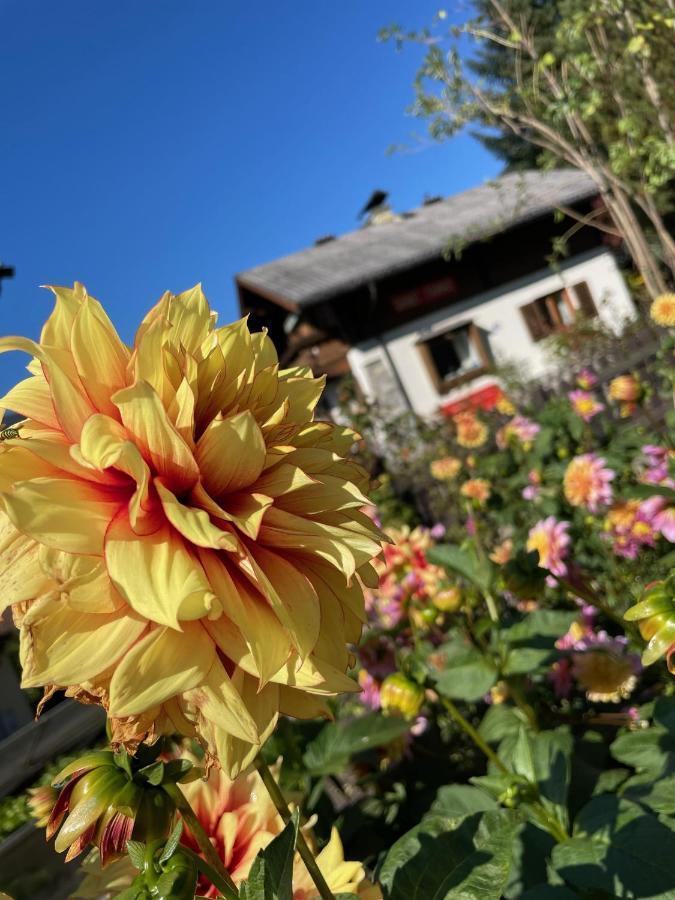 Chalet Franzi - Das Family-Ferienhaus Mit Gratiseintritt Ins Solarbad Dorfgastein Exterior foto