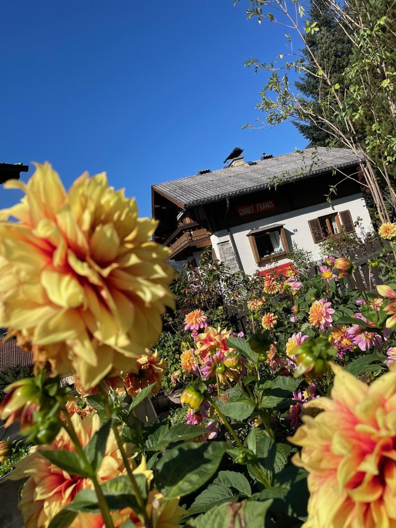 Chalet Franzi - Das Family-Ferienhaus Mit Gratiseintritt Ins Solarbad Dorfgastein Exterior foto